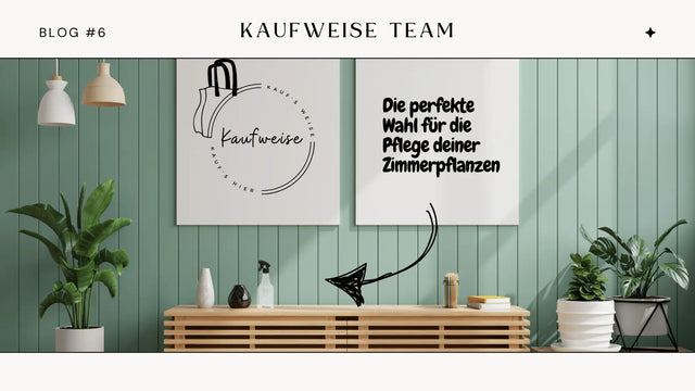 Ratgeber: Die perfekte Wahl für die Pflege deiner Zimmerpflanzen